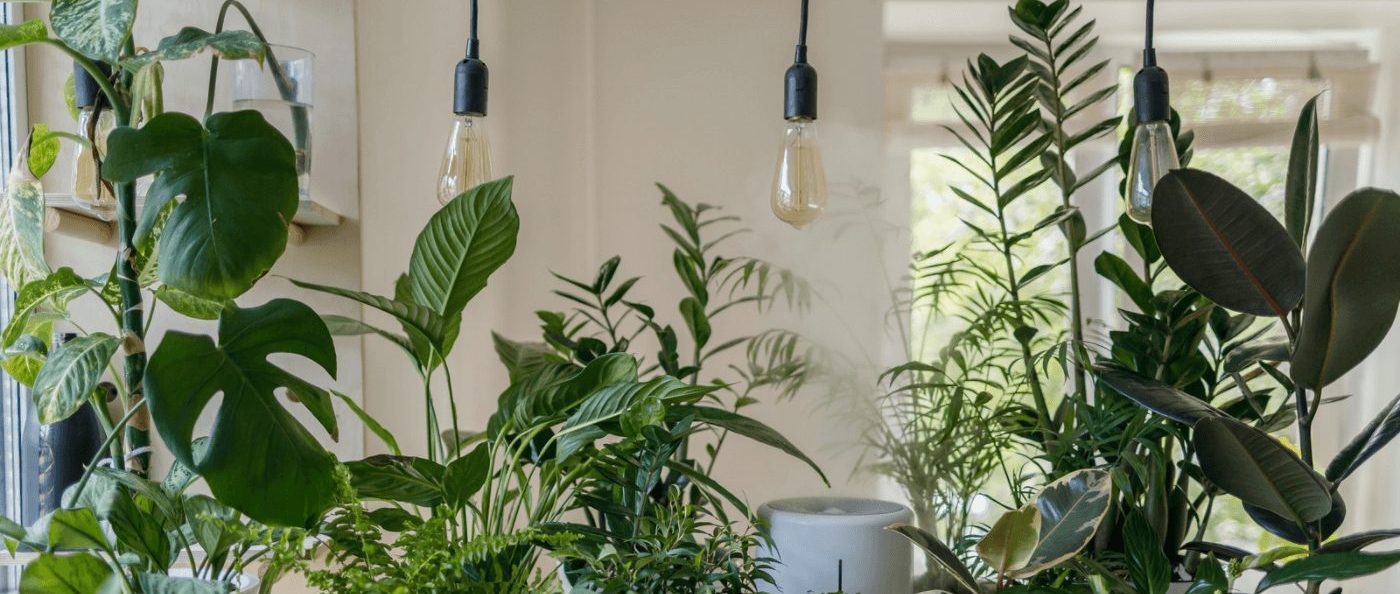 The Interior Design Trends to Look Out for This Season